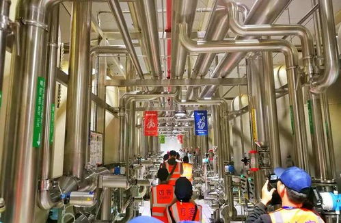 百威雪津 世界級智慧低碳工廠，黑科技護航啤酒誕生之旅與接待業務