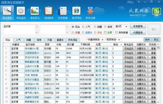 風(fēng)影淘寶營(yíng)銷助手 電商運(yùn)營(yíng)的得力工具與專業(yè)服務(wù)解析